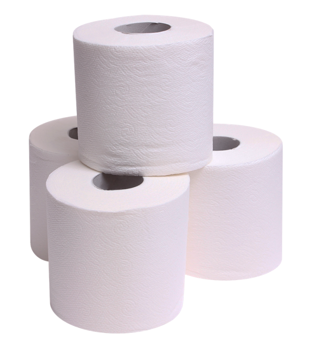 Toilet Paper (2-Ply 96 Roll)
