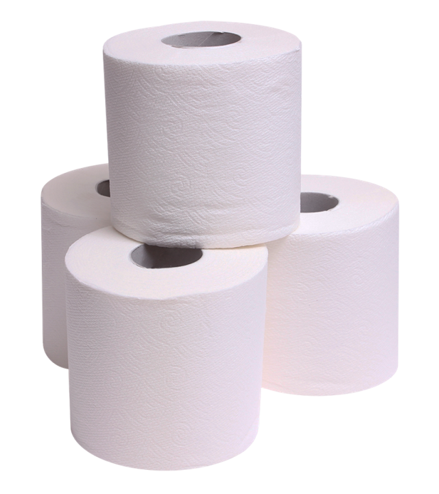 Premium 2 Ply Toilet Paper (Bulk Pack-96 Roll)